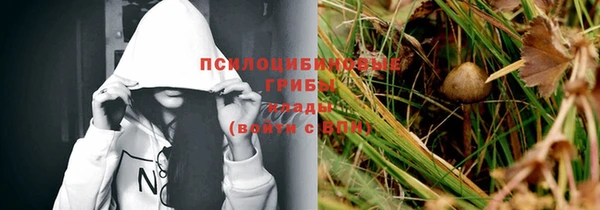 твердый Сафоново