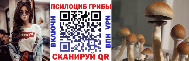 Купить  Иркутск  Псилоцибиновые грибы прущие грибы 